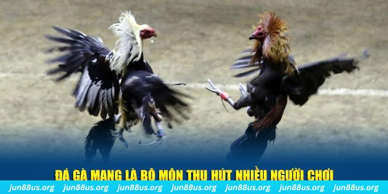 w88 link mơ nổ hũ đánh con gì