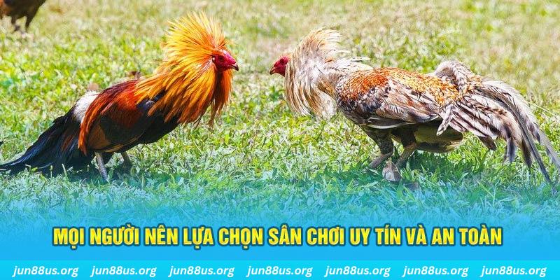w88 link đăng nhập liêng đổi thưởng