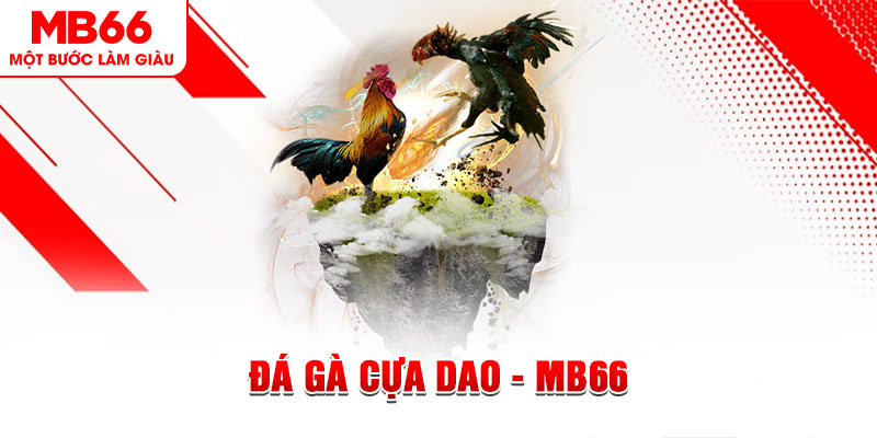 w88 link Trăm người Bo tám Bo chín