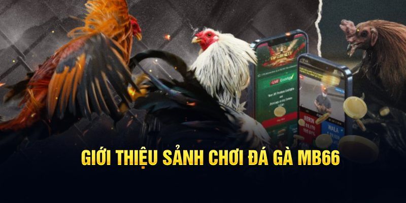 w88 link Anda bạn quán ba hal